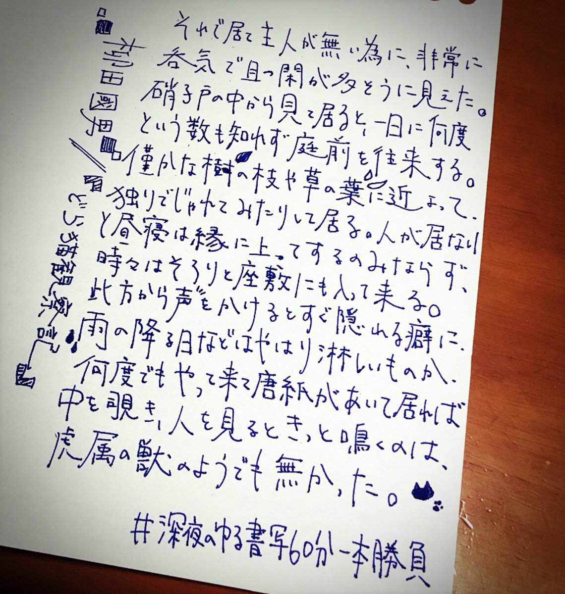 みさ ベーグルでした ろくな字書けないくせにやってしまう 猫かわいいな 深夜のゆる書写60分一本勝負 みさ ベーグルでした ろくな字書けないくせにやってしまう 猫かわいいな 深夜のゆる書写60分一本勝負