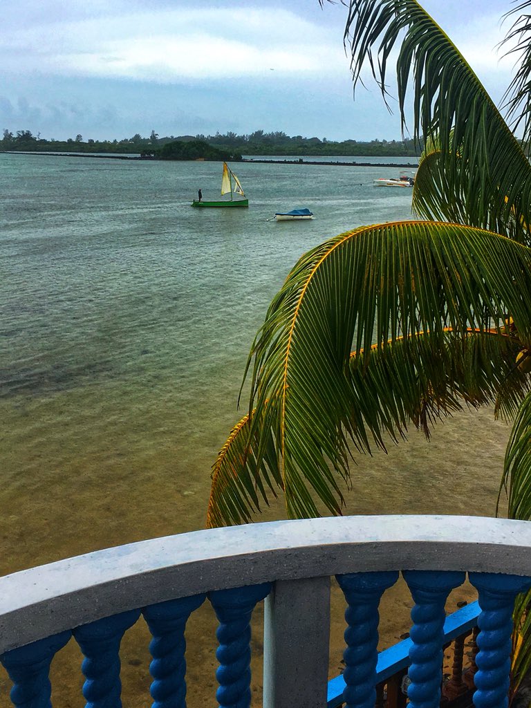 Euer Neid ist mir sicher 😉 das ist der Blick vom Hotelbalkon 😍 #Mauritius #urlaub #mangönntsichjasonstnichts