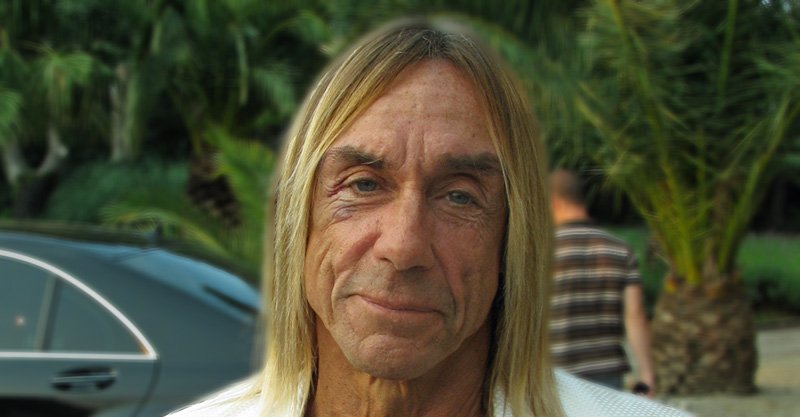 mike watt tweet media