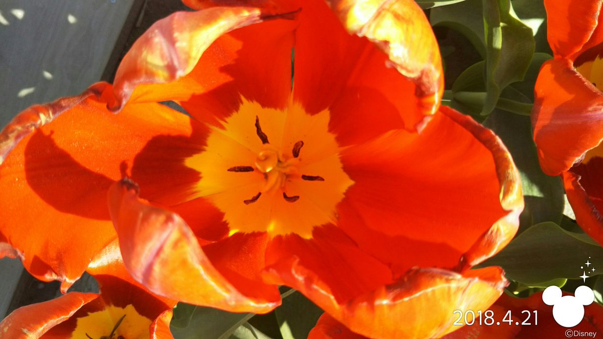 なんとなく 気持ち 悪い