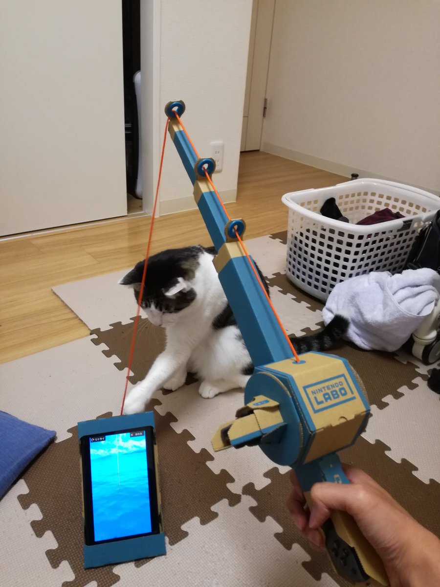 だだだ ニンテンドーラボ買いました とりあえず釣りコン作成に約60分かかったけど 魚より先に飼い猫が釣れそうで とても楽しんでいます Nintendoswitch Nintendolabo 猫 だだだ ニンテンドーラボ買いました とりあえず釣りコン作成に約60分かかったけど 魚より先に飼い猫が釣れそうで とても楽しんでいます Nintendoswitch Nintendolabo 猫