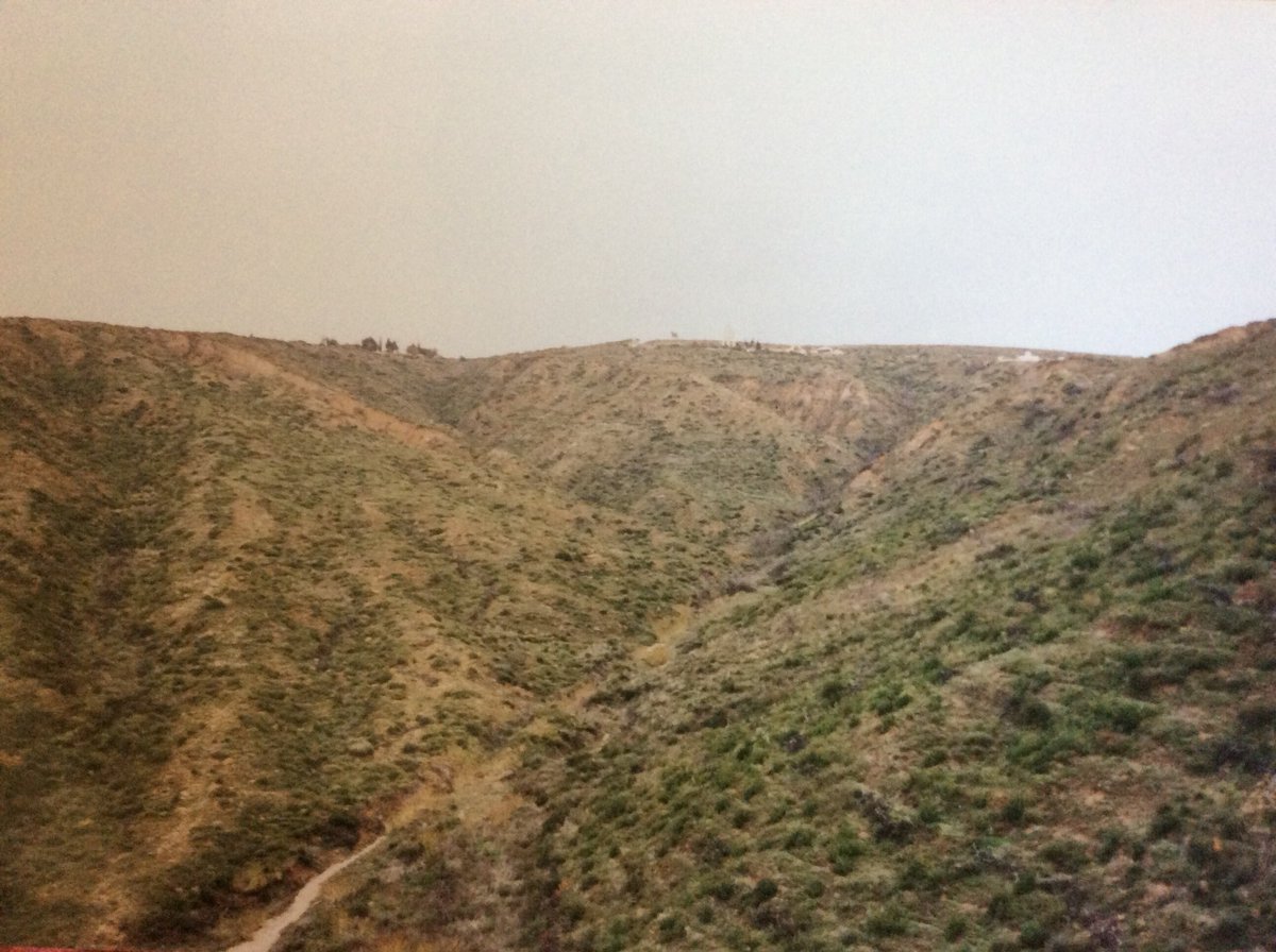 Gallipoli 1996: View up to the front line at ANZAC. This was just after the fire so no trees blocking the view.