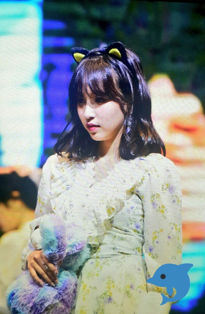 ModernClassic37's tweet photo. 180421 여의도팬싸 
#미나 #mima #트와이스미나 #twicemina @JYPETWICE 

세상의 예쁜 말을 전부 모아다 전해주고 싶어요 https://t.co/qcglMuJ9GQ