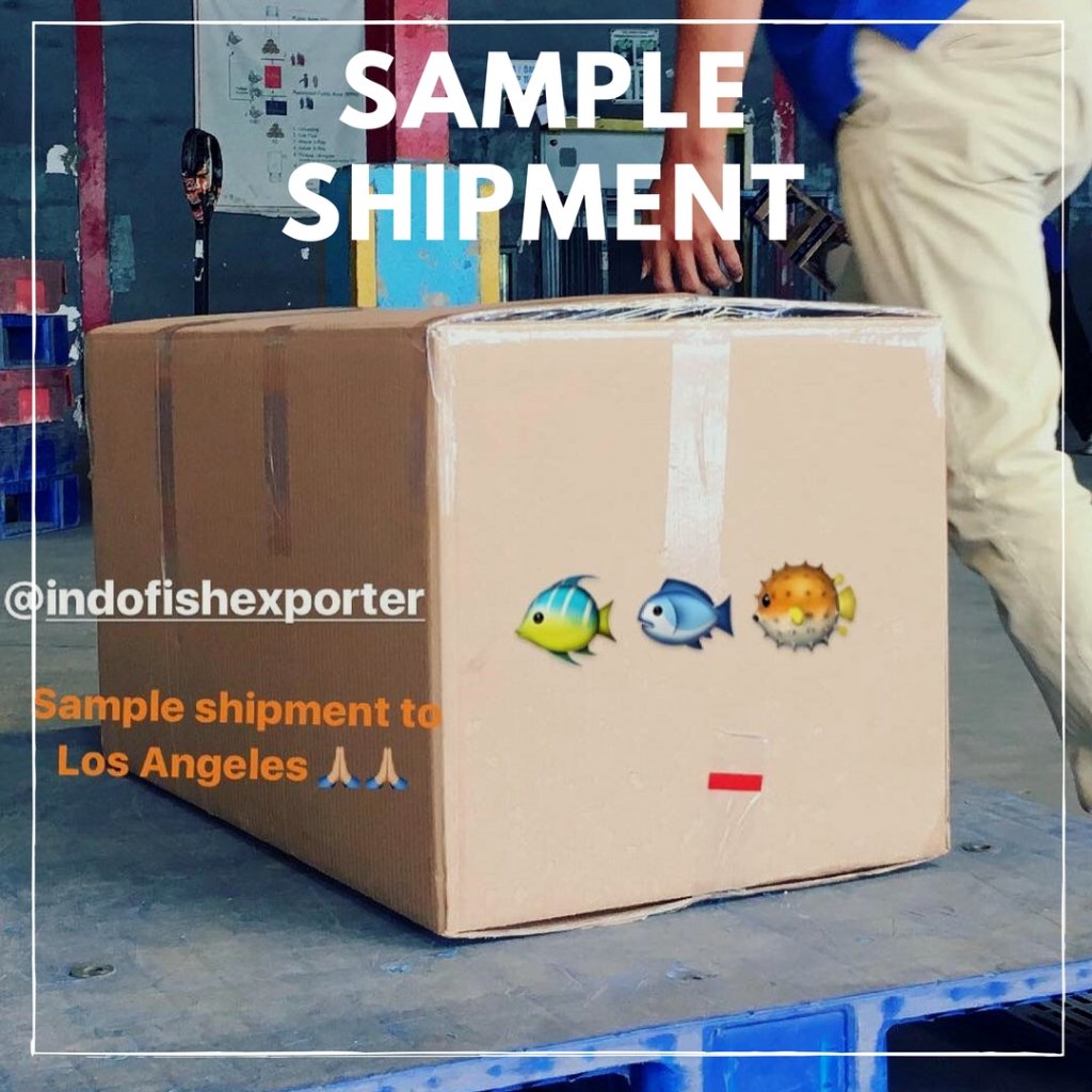 fish_exporter's tweet photo. SAMPLE SHIPMENT to USA https://t.co/v8oJsIJTQQ https://t.co/o9x6W3HNGp