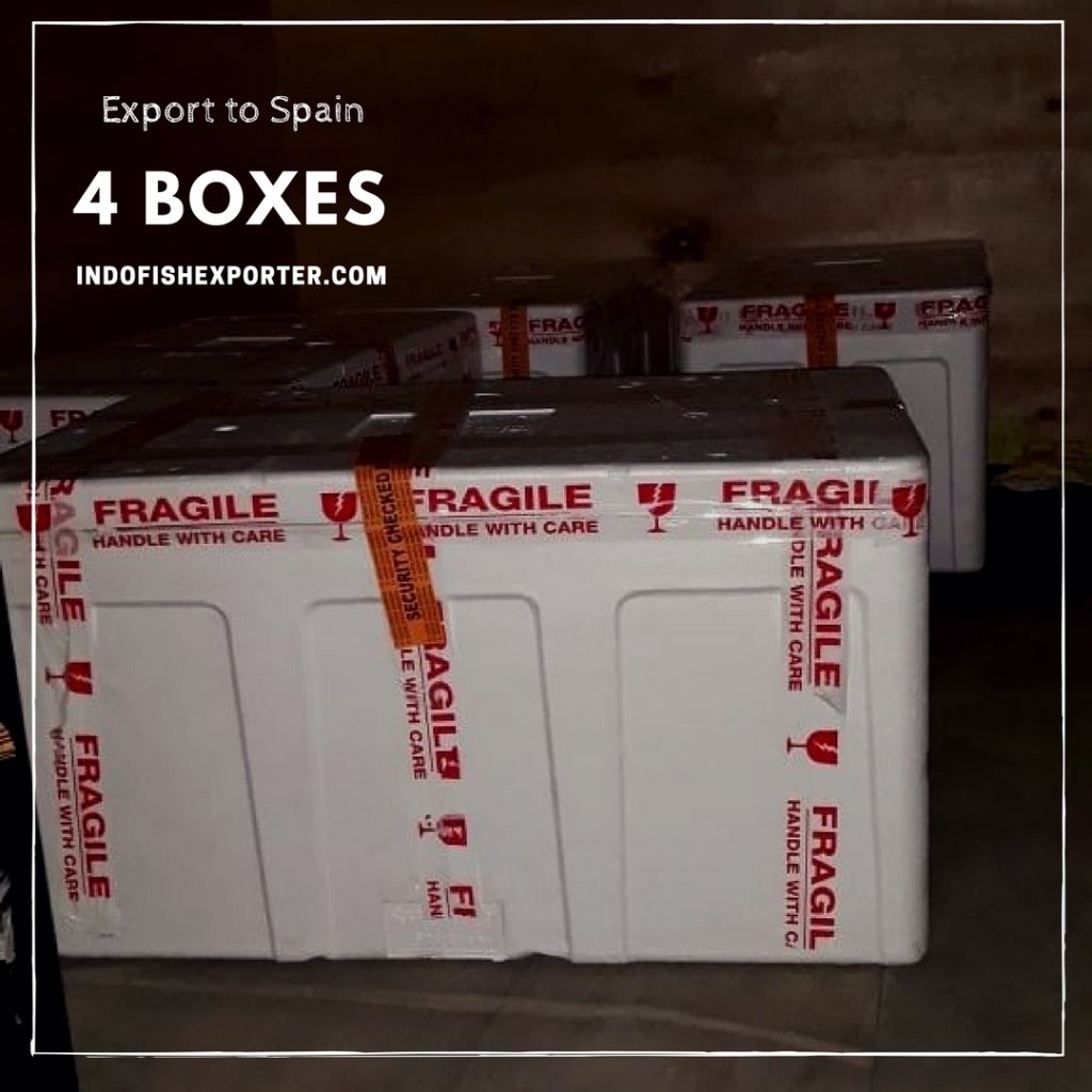 fish_exporter's tweet photo. Export 4 Boxes to Spain https://t.co/PyGFMFvA5N https://t.co/a7hEDB3sJJ