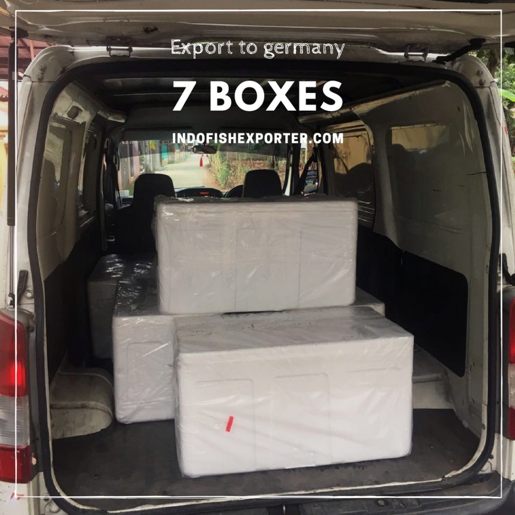 fish_exporter's tweet photo. Export7 Boxes to Germany https://t.co/aenrFlEw8U https://t.co/Ys4bPKm4Q5