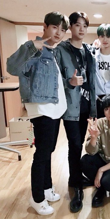 비쇼김재환🍃 tweet media