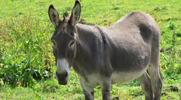 CHUVIJIMENEZ's tweet photo. RESULTADO #21Abr 👇 👇
De @LaRuletaActiva #LottoActivo
9:00 am --► (18- BURRO)
VENGAAAAA VIEJAAAAAAAAAAAAAAAAAAA
A LA TAQUILLAAAAAAAAAAAAAAAAAAAAA
Fueeeeeeeeeeeeeee #RegaloDeChuviJimenez
#DaleRT 🇻🇪 A COBRAARRRRRRRRRRRRR
#GanaConChuviJimenez 👍 #CogeDato
YA ESTAAAAAAAAAAAAAAAAA https://t.co/dNwi0kdRvp
