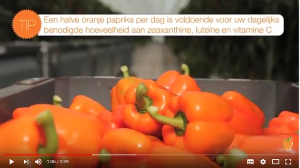 Oranje Paprika tweet media