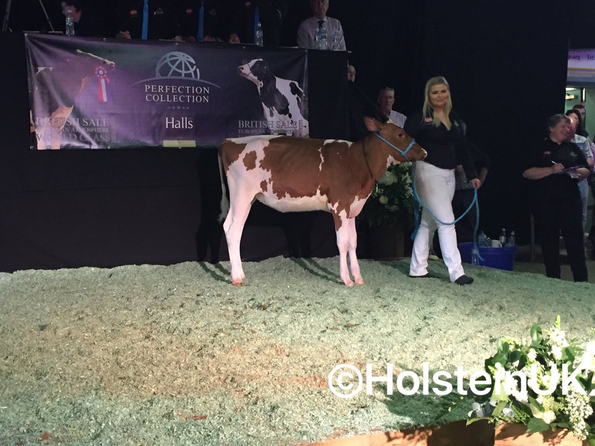HolsteinUK's tweet photo. Lot 84 (Leedham Absolute Ruby Red) sells for 5,000gns #perfectioncollection https://t.co/VfPdwpz6Zx