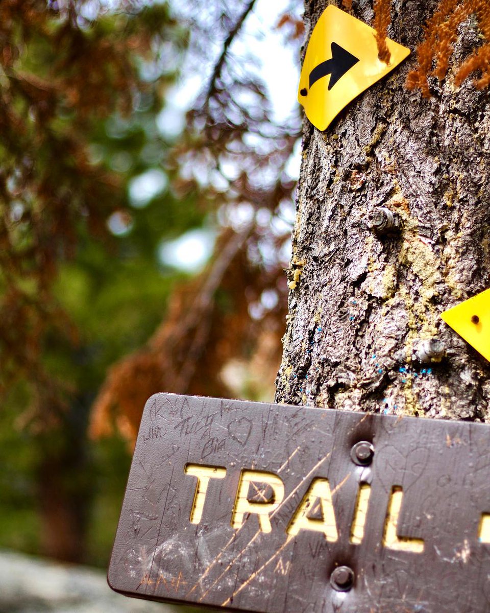 bigbearlake's tweet photo. Be a trail blazer #liveitupbigbear (📸 : Instagrammer jayknock12) https://t.co/KUHogfzAYr