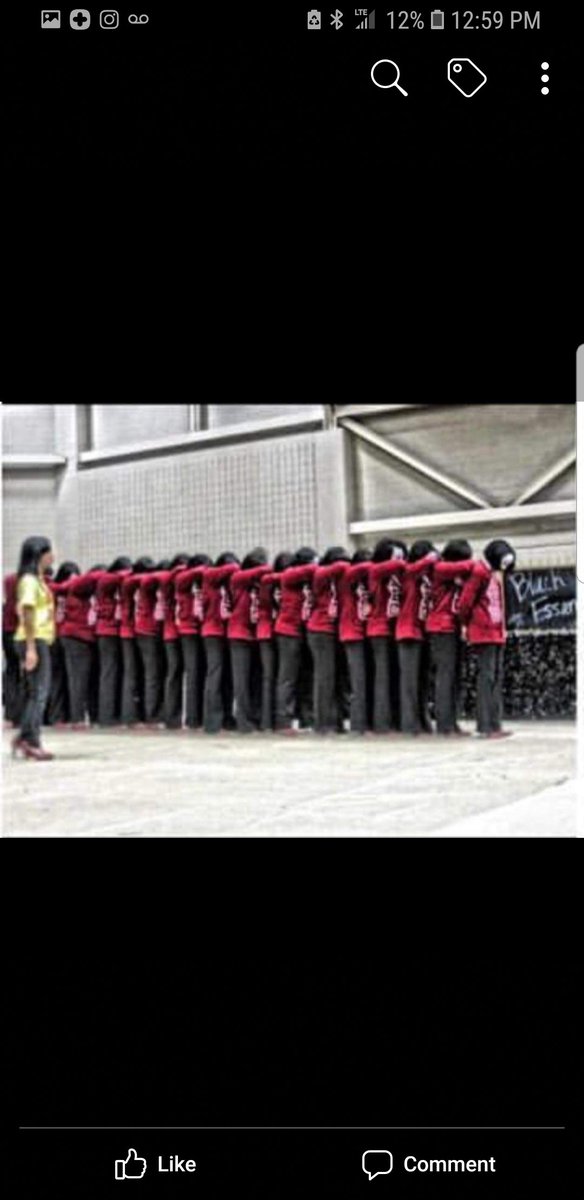 ElegantlyMade's tweet image. 25 Divine Elements of DSTinction! 
#DeltaEtaMade
#Spring10
#21

OO~OOP!!