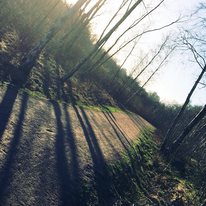bidsinsweden's tweet photo. Vi närmar oss Göteborgsvarvet. Underbar kvällsrunda i vårsolen på 15 km i sköna Hisingsparken! #hisingsparken #gbgftw #göteborgsvarvet #goteborgsvarvet #varvet #goteborg https://t.co/6WZUezfyUP
