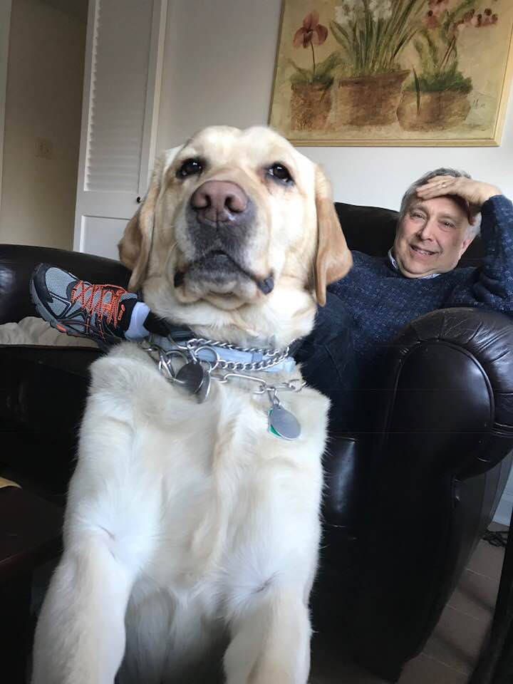 Are you on facebook? #guidedog Caitlyn and I would love to connect with you there: facebook.com/HaveDogWillTra… #HaveDogWillTravel #mansbestfriend #poetry #inclusionmatters