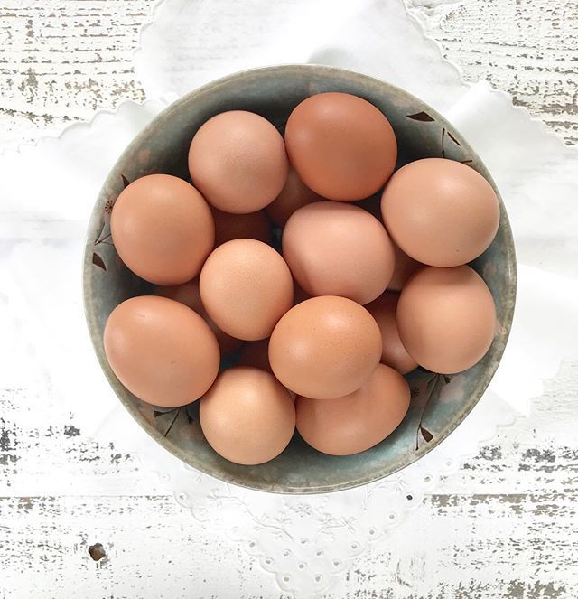 fxvitality's tweet photo. Have you tried pullet eggs before? They are the first eggs laid by a chicken in her first year, slightly smaller than later eggs. A lovely friend gifted these to us and we’ve really been enjoying them! #pulleteggs #farmfresh #local #paleo #keto #homeswee… https://t.co/D66rb3pUUx https://t.co/tht4ZkpGka