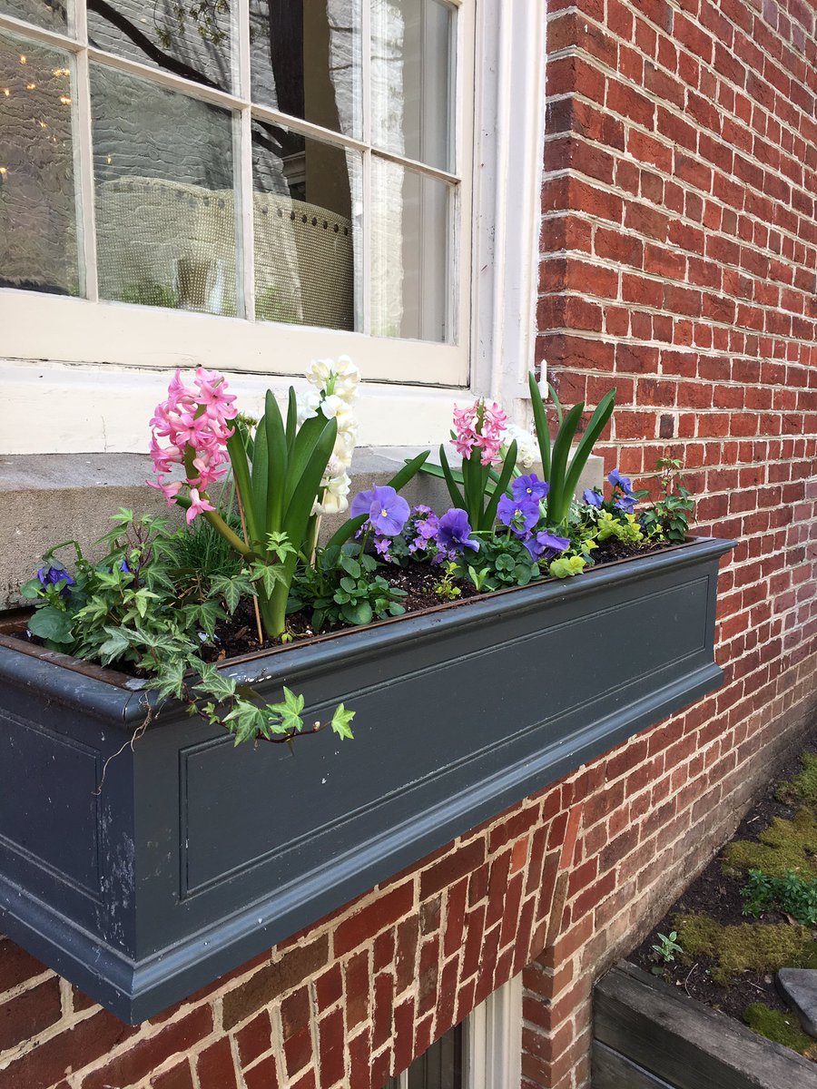 WDCGardener's tweet photo. House 2 on #prince street in #Alexandria #va #gardendc #gcvirginia #gcv #hgw #hgw18 @gcvirginia https://t.co/kokdv5PA9A