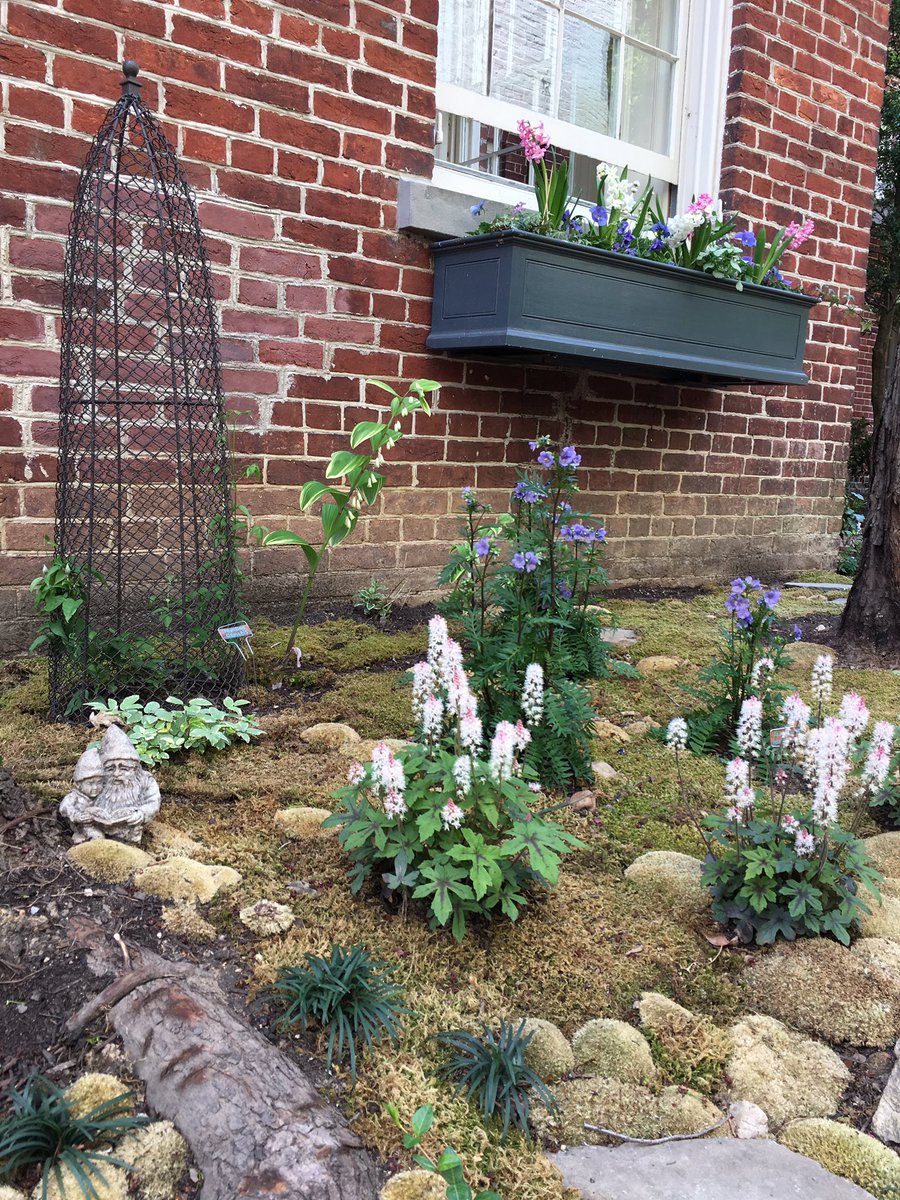 WDCGardener's tweet photo. House 2 on #prince street in #Alexandria #va #gardendc #gcvirginia #gcv #hgw #hgw18 @gcvirginia https://t.co/kokdv5PA9A