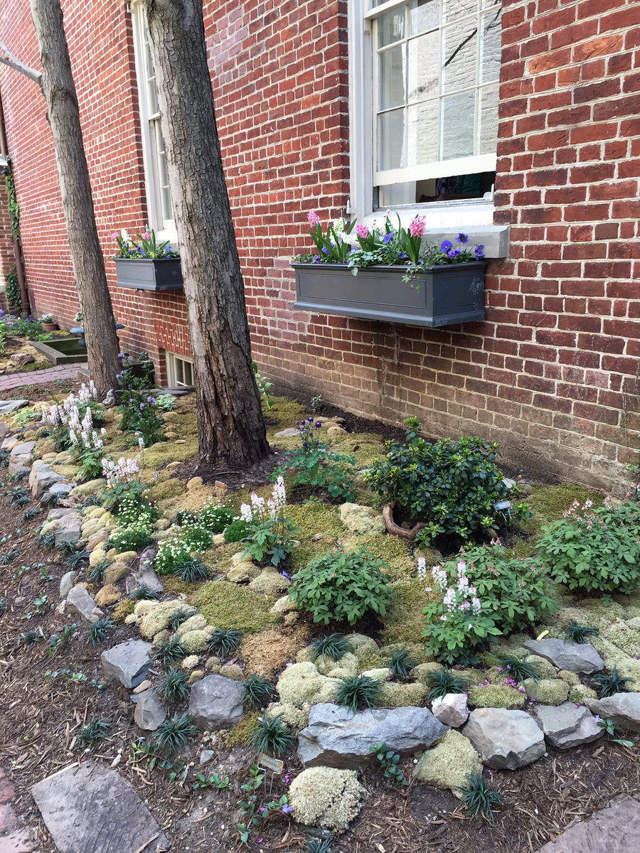 WDCGardener's tweet photo. House 2 on #prince street in #Alexandria #va #gardendc #gcvirginia #gcv #hgw #hgw18 @gcvirginia https://t.co/kokdv5PA9A