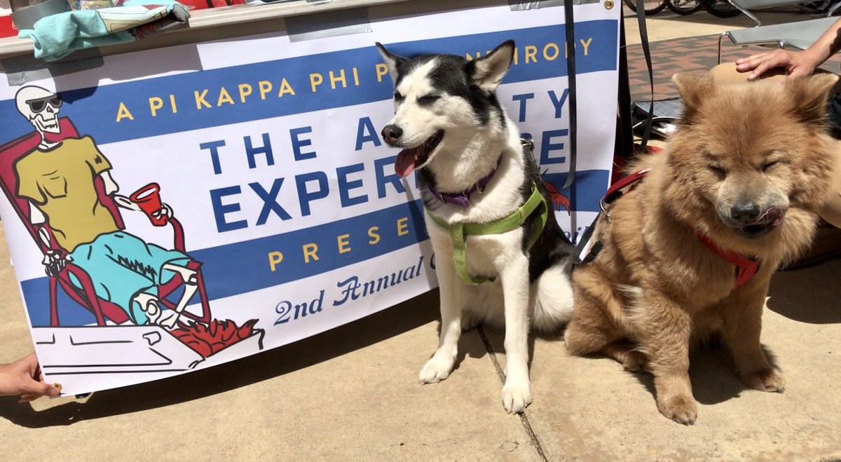 Don’t forget to buy your ticket for TOMORROW. Two newest members of Pi Kapp will be at the crawfish boil and more. Will you be there?

Contact: 8478997295
DM FOR LOCATION