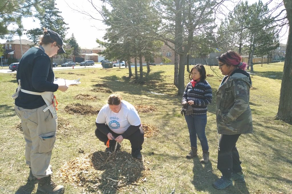 EtobMimicoCreek's tweet photo. Our citizen scientists for the Young Tree and Shrub Monitoring and Maintenance Program are hard at work taking measurements so we can track the growth of all the plants we planted today! #YTMProgram #TreeLovingCare #CitizenScience https://t.co/ElOFjBnAcF