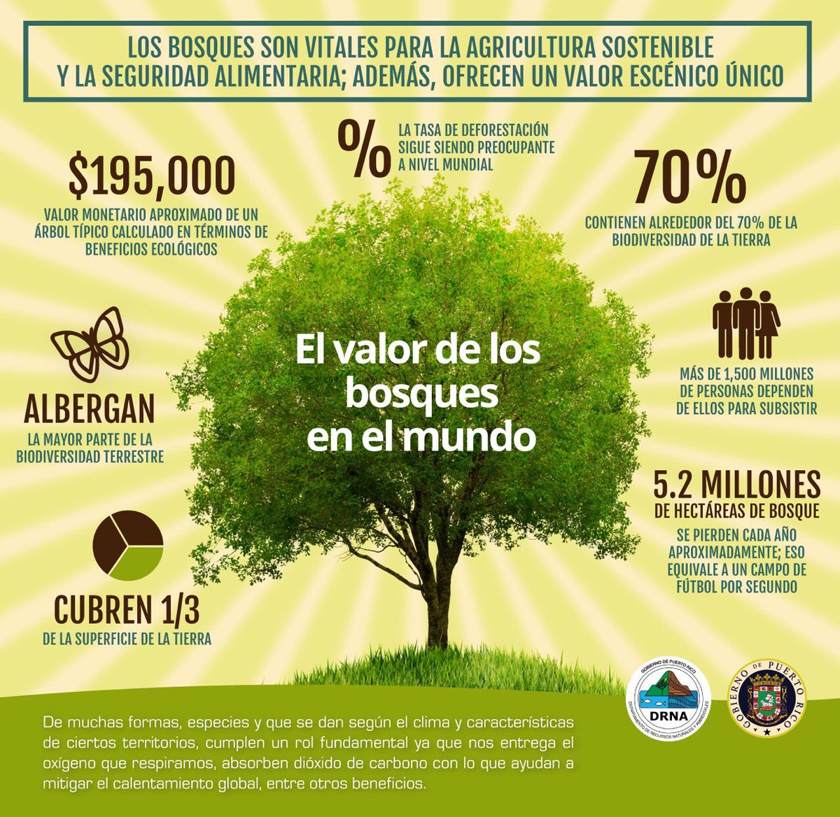 DRNAGPR's tweet photo. Solo uno, 🌳 según estimados, tiene un valor de $195 mil. ¡Imagínate todo un bosque! ⛰ Celebremos y conservemos el Planeta Tierra. 🌎 https://t.co/vsJtI5Uen5 https://t.co/4bTajfiLf4