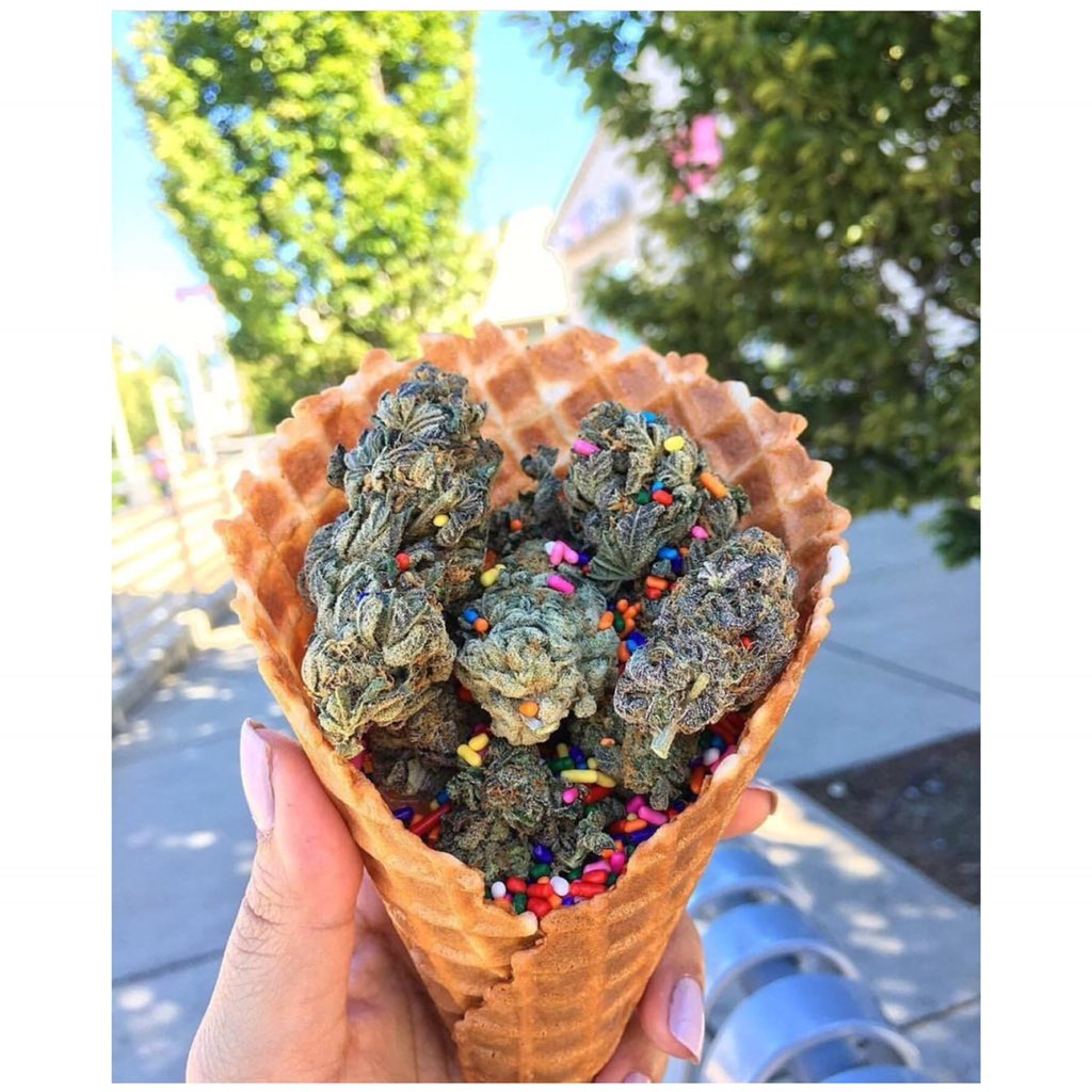 stylebydona's tweet photo. Where does #420 comes from?No matter where it comes from, 1 thing is 4 sure, #Cannabis has healing elements that R not harmful 4 Ur body.Get educated & C how it can change ur life for d better! #thc #cbd #marijuana #cancer #healing #painmanagement #StyleByDona #creativedirector https://t.co/NgEJJsxRTW