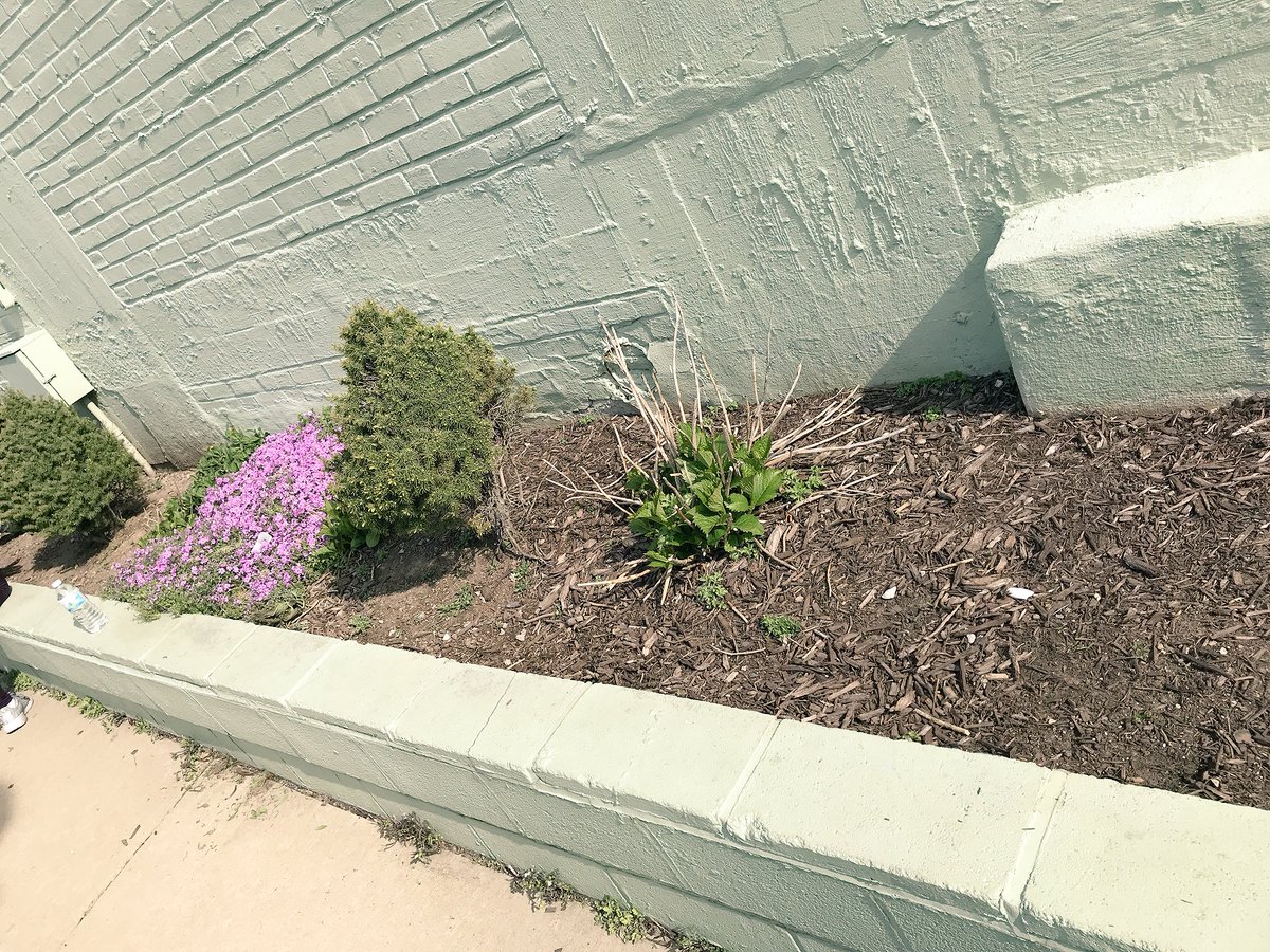 UnidosComcast's tweet photo. Before &amp; After @Congreso1977 for #ComcastCaresDay #beautiful #community @Telemundo62 https://t.co/TkSxUChET7