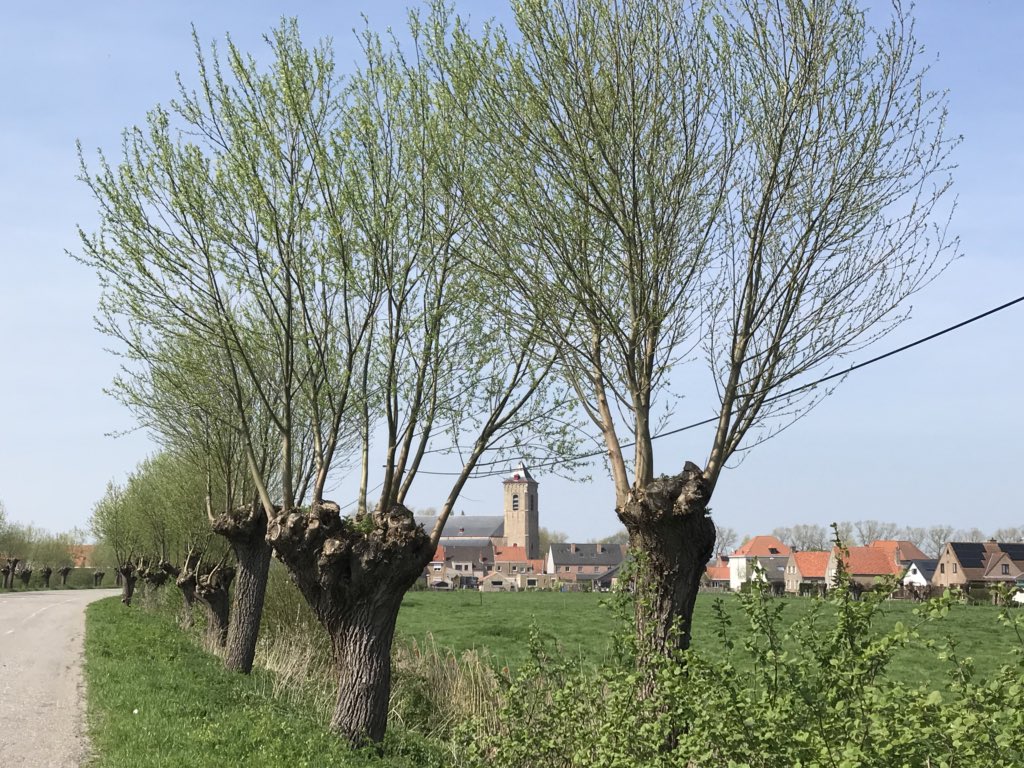 hon_joke's tweet photo. Vandaag #fietsen #Lapscheure #West-Vlaanderen # Hof ter Kaleshoek # ijshoeve 🚴♀️🚴♂️😎 https://t.co/bdyS62bgKc