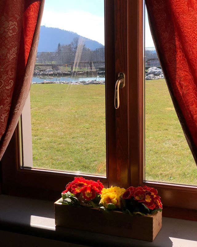 villacrespia's tweet photo. We love spring! 🌸 https://t.co/GnJb2xh8Dp https://t.co/q0saq8f08d