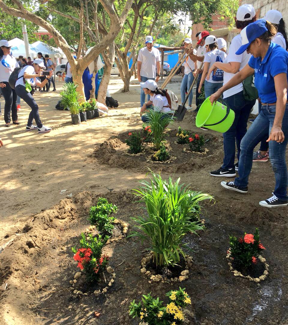 ElectricaribeSA's tweet photo. En el marco del evento #UnPactoPorSiape, lideramos con nuestros voluntarios una jornada de siembra de árboles. https://t.co/UV80avd6CD