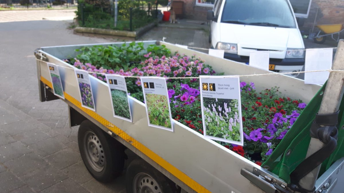 Vandaag zijn de geveltuinen in Brunnepe aangelegd. Een prachtig resultaat dankzij vele vrijwilligers en medewerkers van gemeente #Kampen.