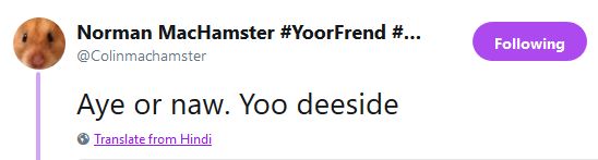 ConnieResearch's tweet photo. @Colinmachamster You're a talented young hamster, Norman. According to Twitter you speak Hindi 😅 https://t.co/VMHkERUGnE