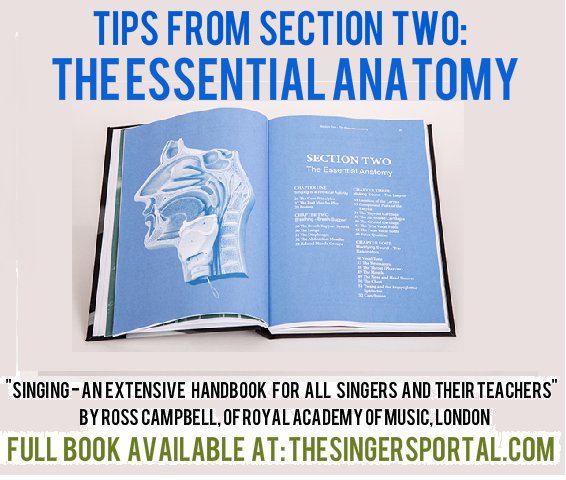 SingingTips4U's tweet image. Dealing with some issues  which could cause the inability to sustain long phrases this week, namely short breath. #Breathing
#SingingSongWriter #SingingLesson #Singing
- Taken from @SingingHandbook by @rosscampbelluk of @RoyalAcadMusic. Book available at thesingersportal.com/shop/