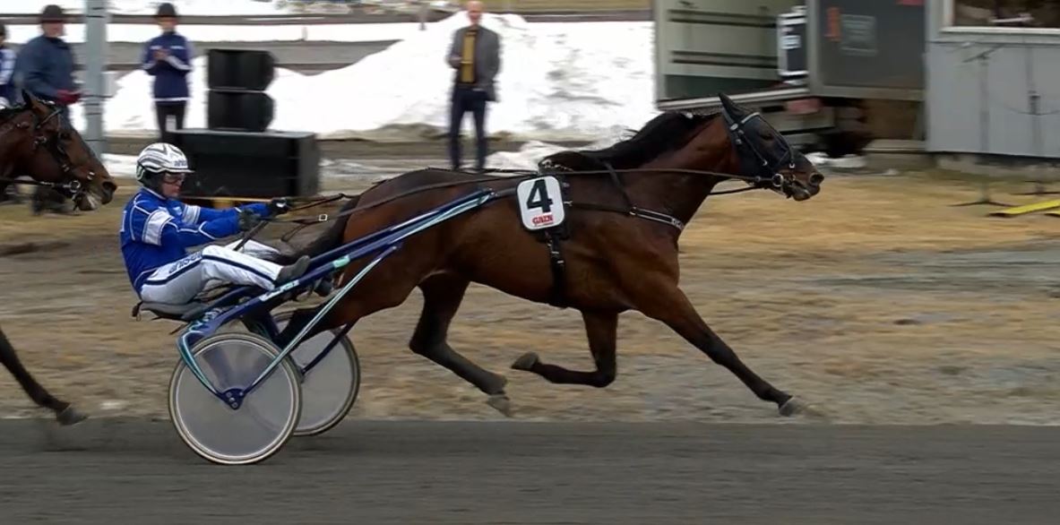 Joe_Zagari's tweet photo. #Diamanten 🇸🇪 #AdrianChip won #BerthJohanssonsMemorial on @UmakerTrav with @ErikAdielsson @StigHJohansson in 1.13.6 on 2140 over #MuscleHustle 🇺🇸 @StallBergh and #Makethemark 🇸🇪 #PetriSalmela https://t.co/sksiIfxhYU