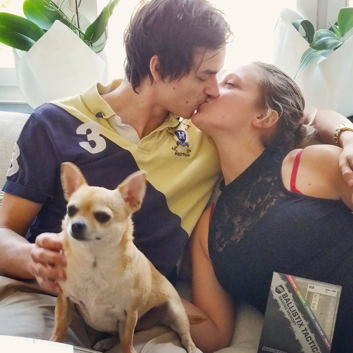 what would you look like as a dog omg