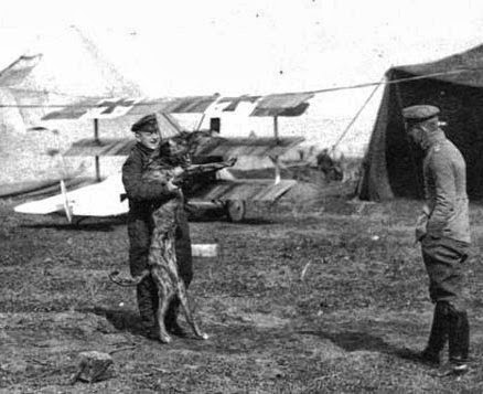 Ron Eisele tweet media