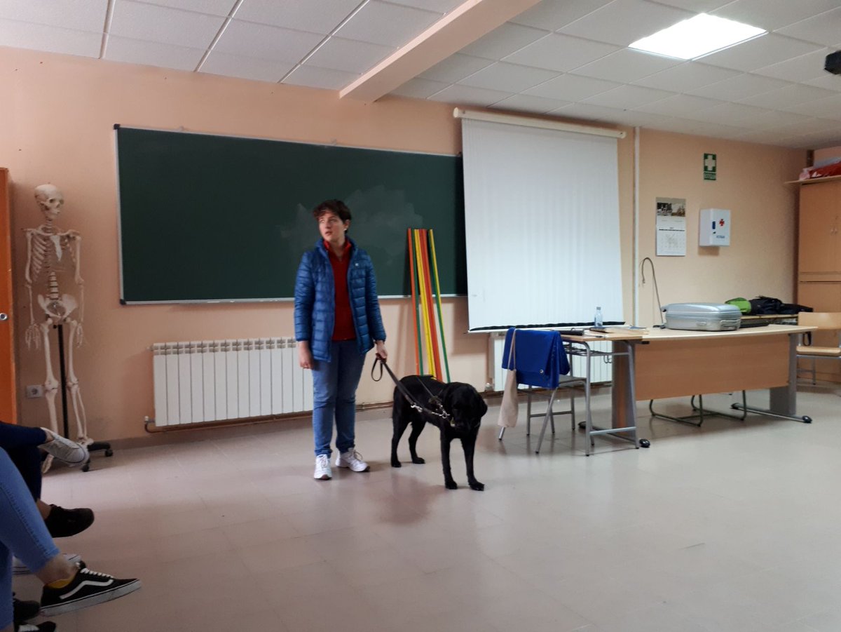 SagriLopez's tweet photo. Aprendiendo profesional y personalmente desde la admiración. Mañana de juegos adaptados, risas, goalball, experiencias... Gracias a Inma y a su inseparable Ianna. #ieselgreco #discapacidadvisual #cicloformativo #educacioninfantil https://t.co/gh3bfGOzll