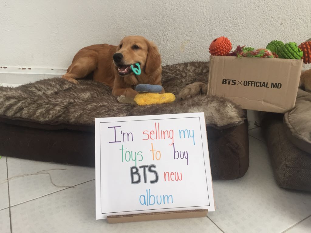 An_nr9804's tweet photo. @INF_CHOICE @BammRadio @presinalgas @PaolaChaparro18 @JDCerquera #BTSLoveYourselfTear @AnselElgort #DiaDeBTS #MTVLAKPOPBTS #MTVLAFANARMYBTS  #MeMerezcoUnCincoEnTallerCreativoPor "No es sobre las ideas. Sino hacer que estas se vuelvan realidad" - Scott Belsky https://t.co/RpqwpCT8PA
