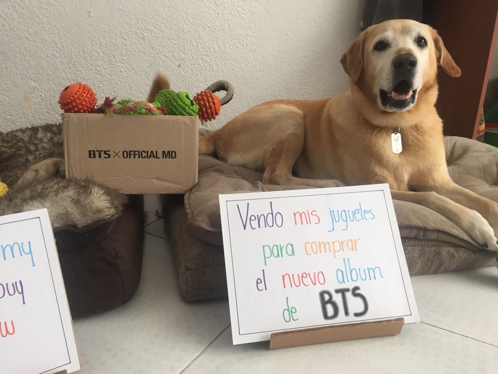 An_nr9804's tweet photo. @INF_CHOICE @BammRadio @presinalgas @PaolaChaparro18 @JDCerquera #BTSLoveYourselfTear @AnselElgort #DiaDeBTS #MTVLAKPOPBTS #MTVLAFANARMYBTS  #MeMerezcoUnCincoEnTallerCreativoPor "No es sobre las ideas. Sino hacer que estas se vuelvan realidad" - Scott Belsky https://t.co/RpqwpCT8PA