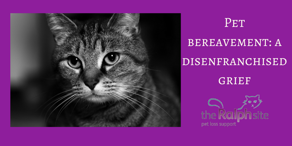 theralphsite's tweet photo. ‘Disenfranchised grief’ = grief that isn’t fully or sometimes even partly acknowledged by society (e.g. death of a friend, miscarriage).
 
Pet loss is often experienced as a disenfranchised grief too.

Read more here:

https://t.co/GoiSYGuPDF

#petloss #petlosssupport #Grief https://t.co/kYuLAXNKKE