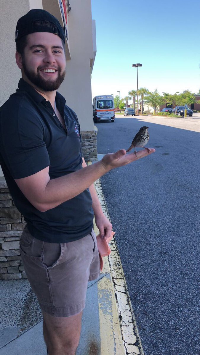 lamunionsc's tweet photo. Rescued this little bird at Grouchos today... #animalplanet https://t.co/lbSIJC8xPJ