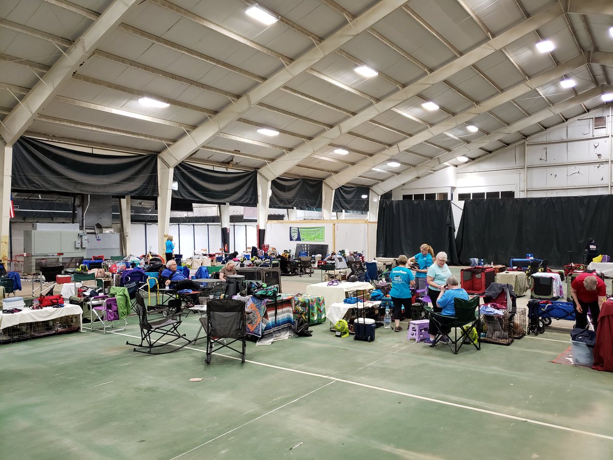 We're hosting the <a href="/TGCVizslaClub/">TGCVizslaClub</a> today and tomorrow 10-5!