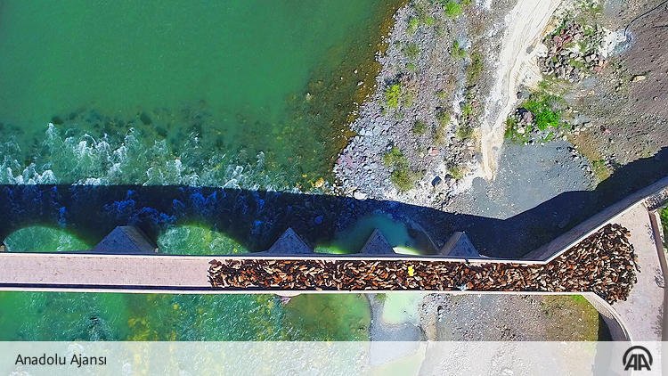 anadoluajansi's tweet photo. Göçerlerin asırlardır süren çileli yolculuğu

Kışı geçirdikleri Güneydoğu'dan bir ay önce 300-400 kilometre uzaklıktaki yaylalara ulaşmak için yola koyulan göçerler, yüzyıllardır aynı güzergahı kullanıyor https://t.co/auHAwrOwl4 https://t.co/dTlO4kFTaj