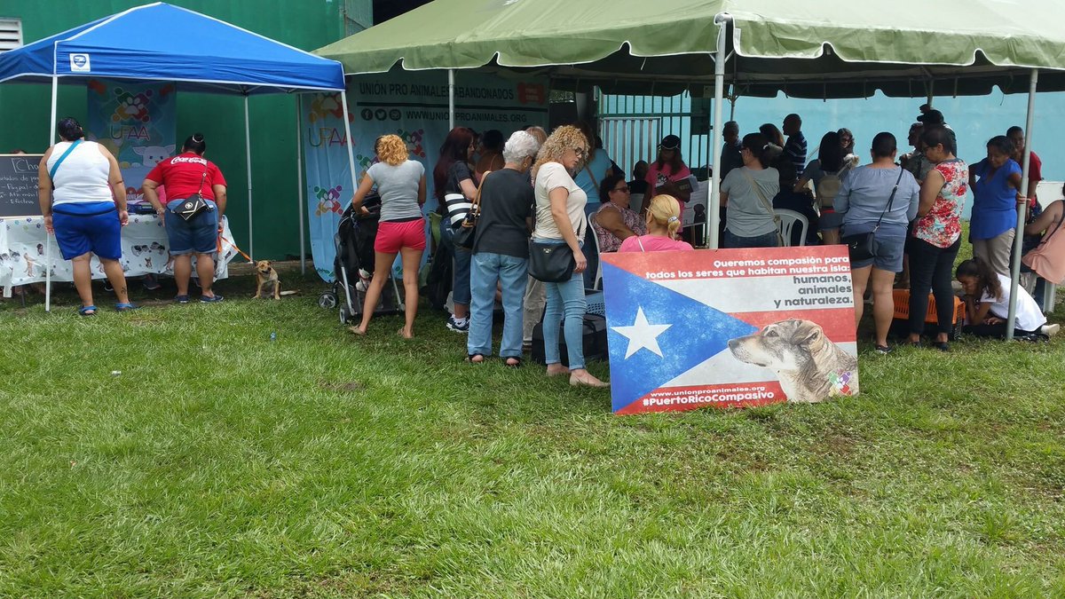 RemiMartinPR's tweet photo. Mascota para toda la vida-Evento de esterilización libre de costo para los vegabajeñitos #UpaaVB Veterinarians for Puerto Rico 🇵🇷 Inf @upaavb @BeatrizRossello continuamos dando el máximo para lograr lo mejor por nuestras mascotas !! https://t.co/S1vA4Yo3p6