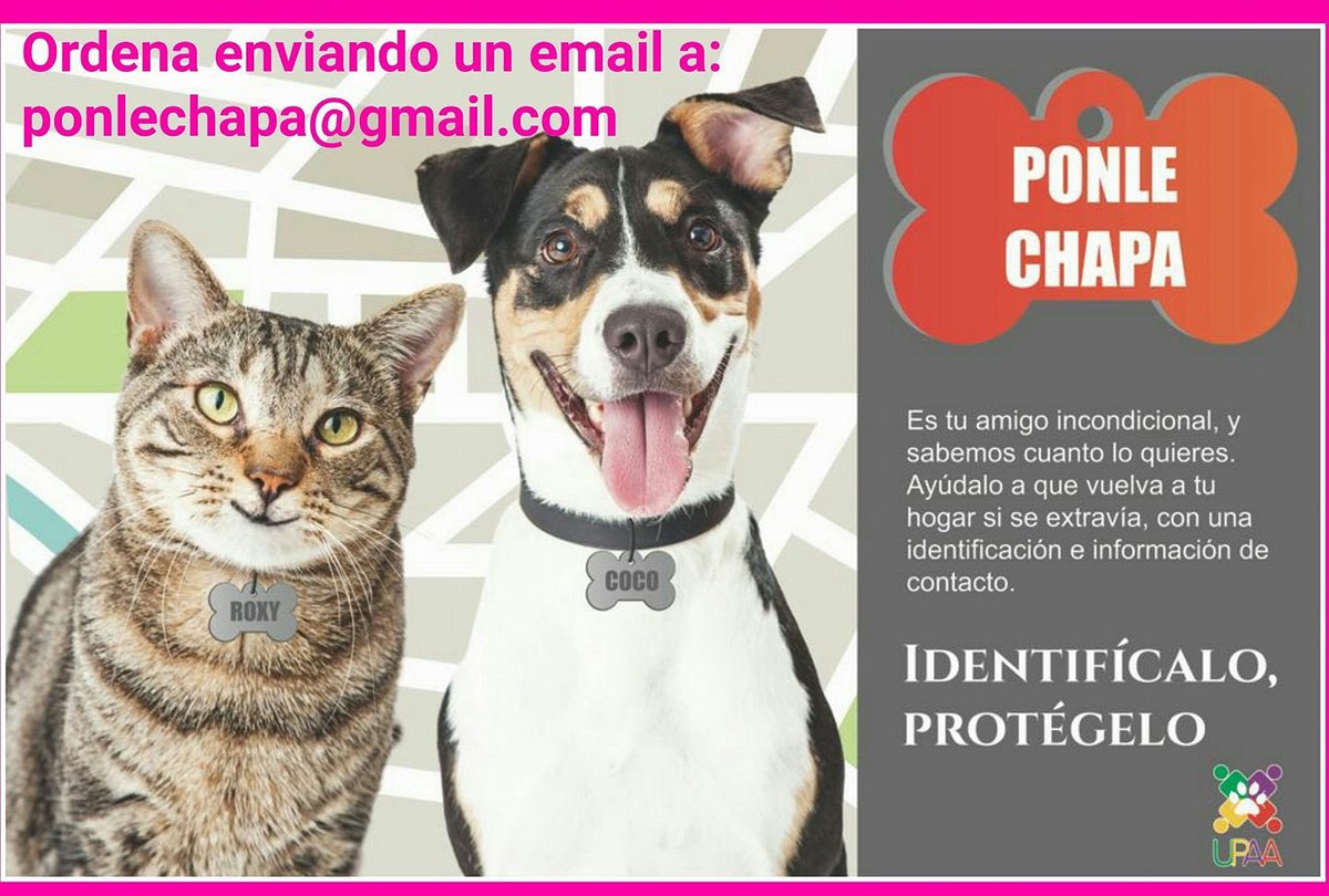 RemiMartinPR's tweet photo. Mascota para toda la vida-Evento de esterilización libre de costo para los vegabajeñitos #UpaaVB Veterinarians for Puerto Rico 🇵🇷 Inf @upaavb @BeatrizRossello continuamos dando el máximo para lograr lo mejor por nuestras mascotas !! https://t.co/S1vA4Yo3p6