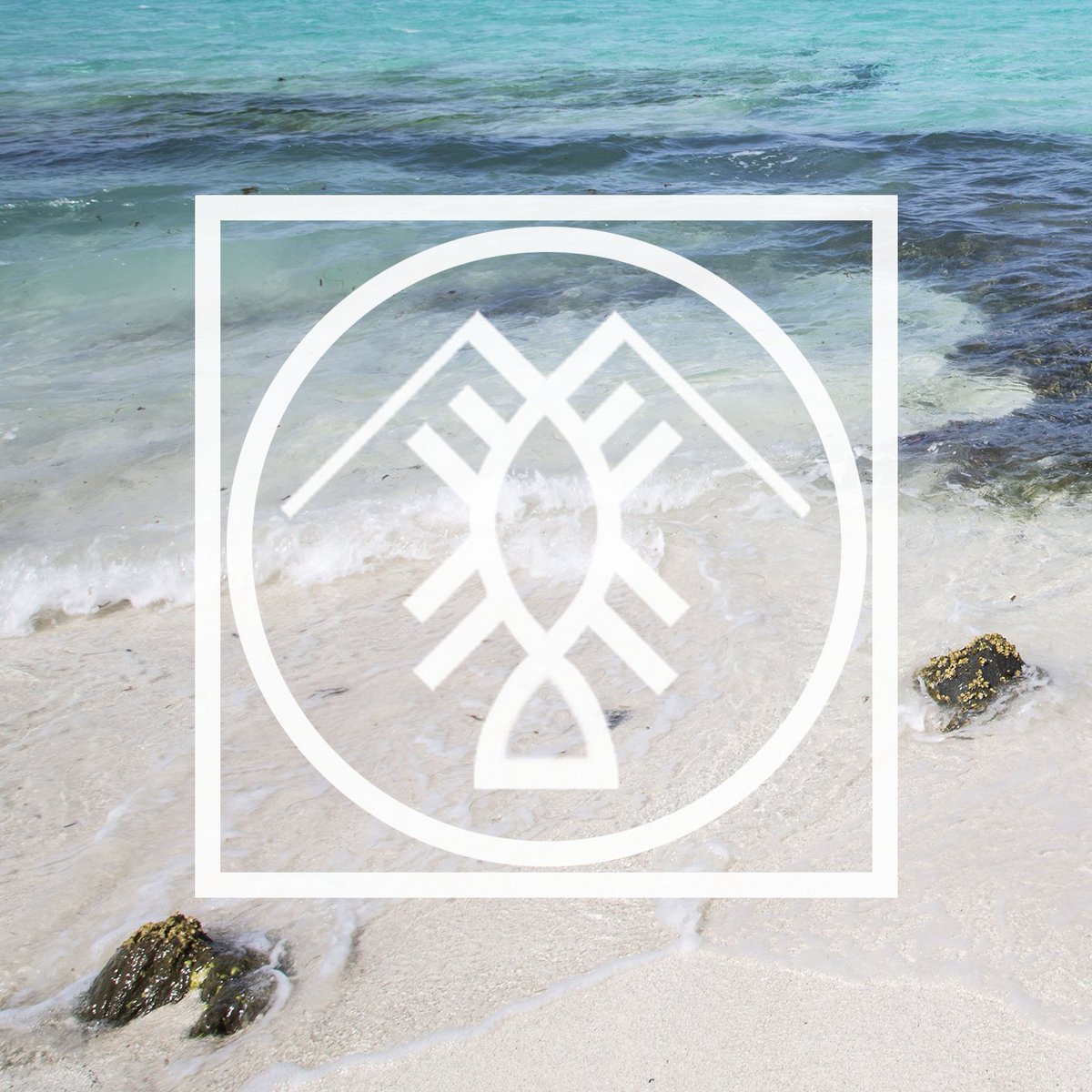 lobster_prod's tweet photo. Le site est en ligne ! 🦐🦐🦐 -> https://t.co/M9UmcS7vHY #lobsterprod #caribbean #videomaking #drone #motiondesign #westindies https://t.co/TakWtMqbWj