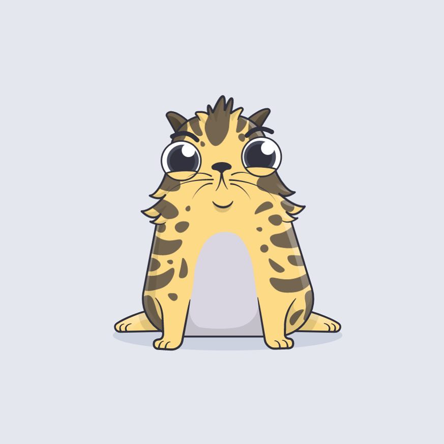 Happy Caturday!  #cryptokitties #cryptotwitter