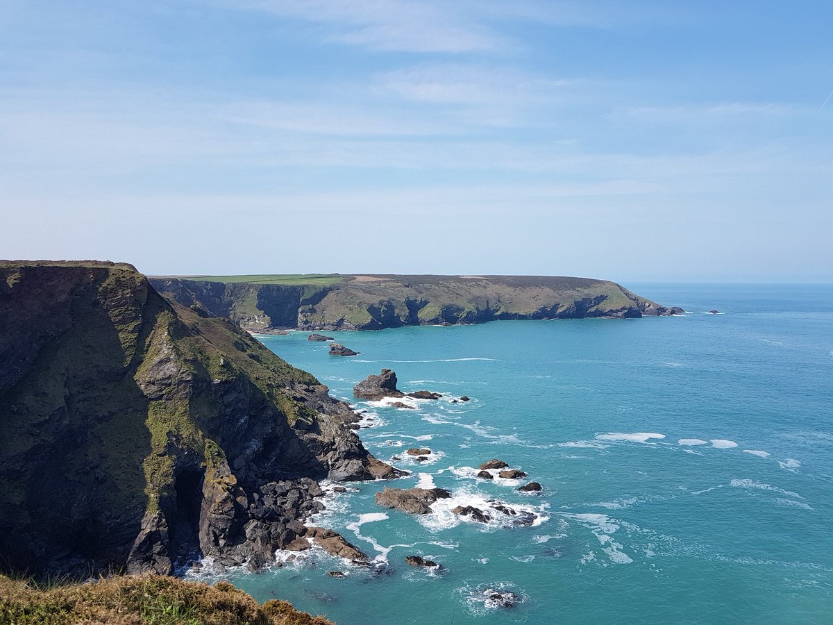 Emma Paull tweet media