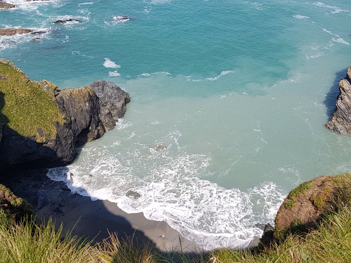 Emma Paull tweet media