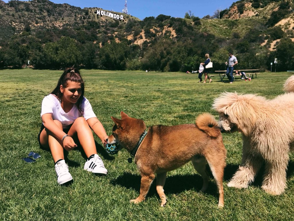 ChannyOfficial's tweet photo. Traveling the world AND being able to make friends with lots of dogs is literally some of the best perks that come with my job! 🎤🎬🇺🇸🌞💃🏼✍🏽🐶🐕🐾🌎🎫🎭✈️ #lovingla #londonstilltocome #songwriting #festivalseason #singer #busygirl #fortunateandgrateful https://t.co/sBIpoAcN1o
